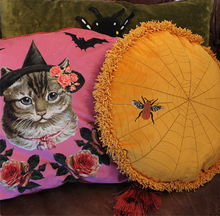 Load image into Gallery viewer, Embroidered Velvet Spiderweb Cushion
